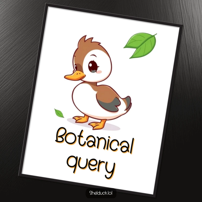 Funny Digital Art Print of a curious shelduck bird tilting its head at a floating leaf.
