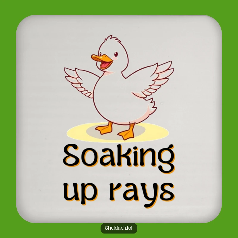 Funny Shelduck Sunshine Stretch Coaster Set: Cute Bird Art for Tables, Funny Gift