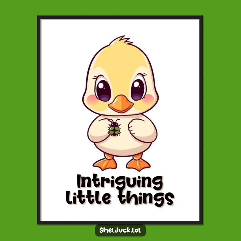 Funny Shelduck Bug Poster - Curious Bird Watching Art, Funny Gift!