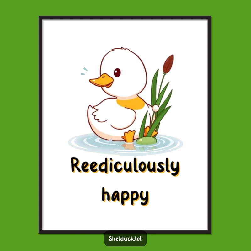 Funny Shelduck Pecks Reed Poster: Amusing Bird Art Print Gift