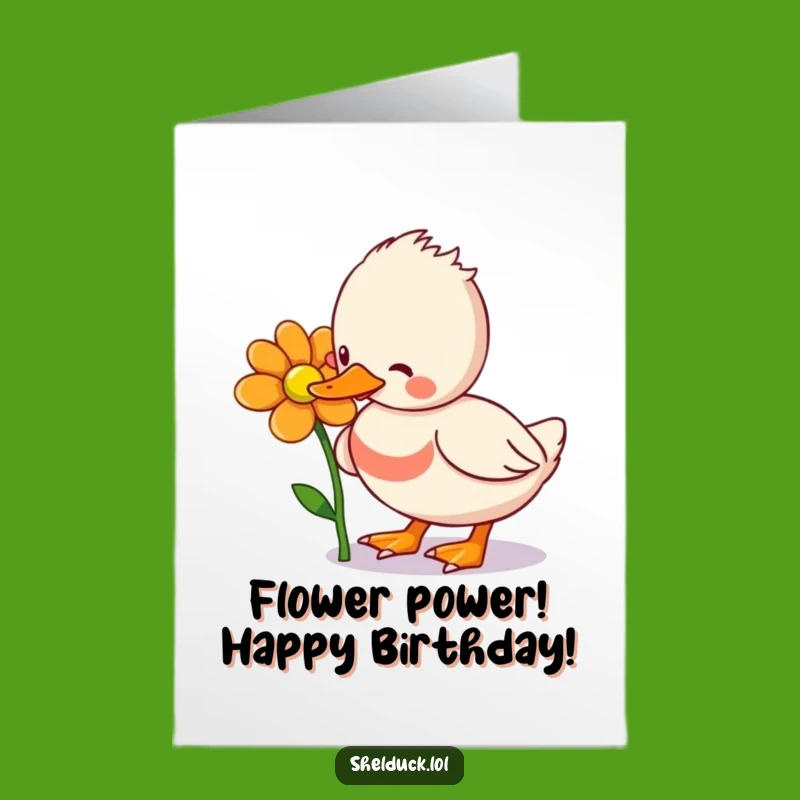 Free Printable Happy Birthday Shelduck Card: Funny Flower Pecking Downloadable Gift