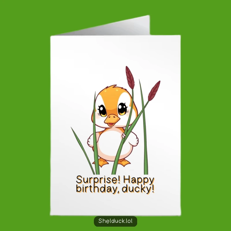 Peek-a-Boo Shelduck Birthday Card Free Printable: Wide-Eyed Surprise Downloadable